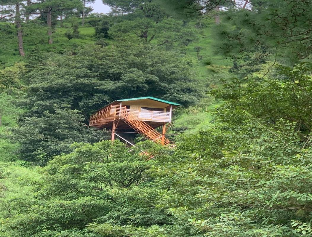 The Cocoon Camps & Nature Resorts Нейнитал Екстериор снимка